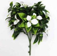 white-flowering-jasmine-stem-uv-resistant.jpg