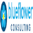 blueflower-consulting-40294839-fe.png