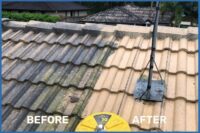 Roof cleaning Brisbane - before vs after (1).jpg