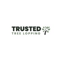 Trusted Tree Lopping Brisbane