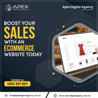 Web Designer Perth